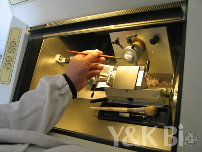 石蜡包埋切片原理及操作