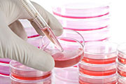 细胞培养过程中如何避免微生物污染？