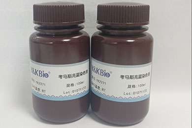 考马斯亮蓝脱色液