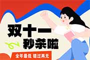 双十一秒杀啦
