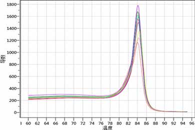 实时荧光定量PCR（RT-PCR）
