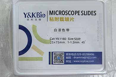 粘附载玻片