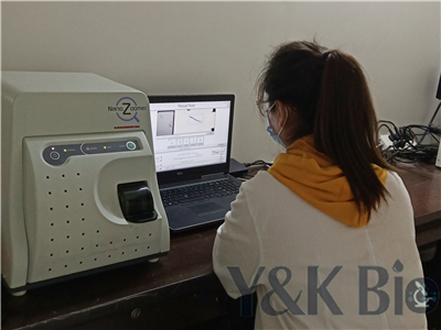 PCR检测样本指南