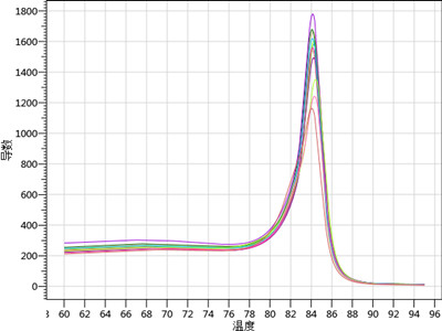 实时荧光定量PCR（RT-PCR）