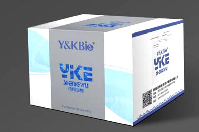 细胞增殖和毒性检测试剂盒（CCK8）